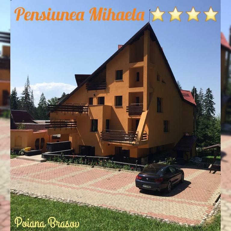 Pensiunea Mihaela ポイアナ・ブラショフ エクステリア 写真