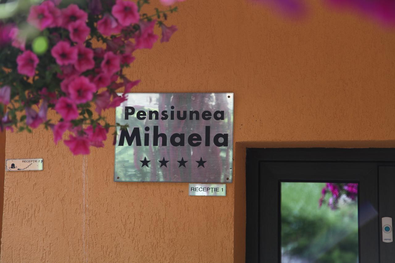 Pensiunea Mihaela ポイアナ・ブラショフ エクステリア 写真